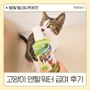 덴탈프렌즈 | 고양이 덴탈워터 가글 마시는 치약 사용방법 급여 후기