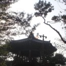 보석정 Daum카페