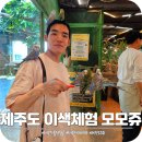 아이존팝 | 제주신화월드 테마파크 가볼만한곳 카피바라 모모쥬