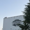 생활야구경기장 | 인생 두 번째 야구 직관, 더 빠져버린 하루⚾️