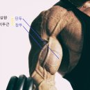 바벨(BARBELL)