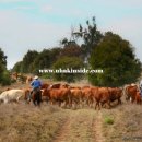 기복농장 이미지