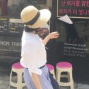 코끼리바스켓