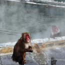 신사2-042 이미지