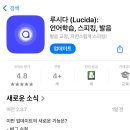 루시다 | 영어회화 실력 키우기! 루시다 vs 듀오링고 실사용 후기 공개