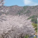 남해-177 이미지