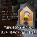 노벨어린이집 | 돌아기 선물로 나쁘지 않았던 코코지 하우스
