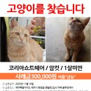 2길6