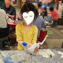 속초 아이랑 놀거리 '테라크랩팜'