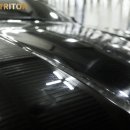 더트리톤 이미지