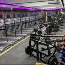 나다피트니스 이미지