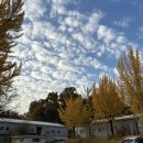 (주)광교현대정비사업소 | [주간일기/11월3주] 타이어 공학은 어떻게 학습해야 하는가?(금호타이어 직무면접 복기)