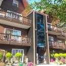 파인펜션 이미지