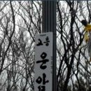 회생당약국 이미지