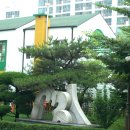 상화유치원 이미지