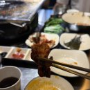 맛있는닭갈비 - 춘천시 | 수원 권선동 술집 추천, 숯향 가득 생닭 숯불구이가 맛있는 부막닭갈비 후기