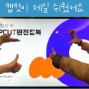 알찬스터디