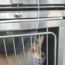 서경석동물병원 이미지