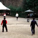 춘천호반 닭갈비 막국수 이미지