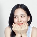 비비드레시피