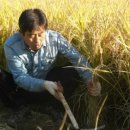 한드미 마을 이미지