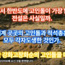 M0프로젝트 | 세계에서 한반도에 고인돌이 가장 많다는 전설은 사실일까? 세계 곳곳의 고인돌과 적석총은 모두...