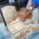 애니힐동물병원 이미지