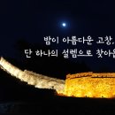 도리화 이미지