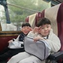 죽림어린이집 이미지