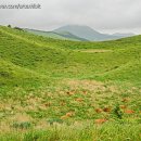 소들한의원 이미지