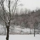 사슬치 캠핑장 이미지