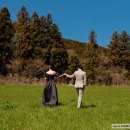 Wedding chap(10) | 제주웨딩스냅(피쿤스냅&amp;포르포라&amp;전지현플라워) 후기