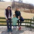 지효목장 이미지