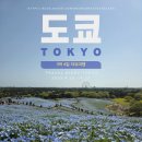 산초뽑기랜드 | 일본 도쿄 4월 3박 4일 자유여행 일정 및 경비