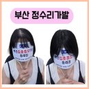 부산 정수리가발 가르마 탈모커버에 굿!