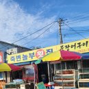 죽변놀부횟집