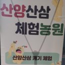 산삼고을 이미지