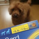 세종코코약국 이미지