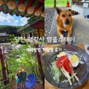 진관로 | 당진 영랑사 템플스테이 체험형 후기 : 니모와 산책