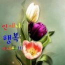 나는꽃 - 제주시 서광로13길 24 | 나는꽃