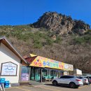 진부령식당 이미지