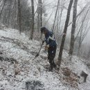 은빛농장 이미지