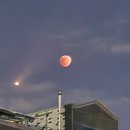 우체국 건널목 | [오사카 워홀] D+6~8 나는 모든 것을 회피하기로 마음 먹었다.