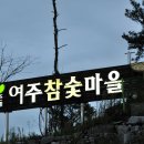 캠프여주 Daum카페