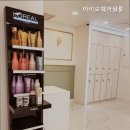 아이오헤어 - 남구 삼산로241번길 43 | 아이오헤어