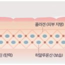 크리스탈인셀덤 - 광주시 | 크리스탈인셀덤