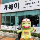 거북이수제바게뜨카페