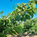 시후농장 이미지