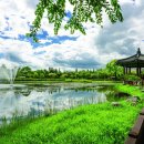 둔산중로-25 이미지