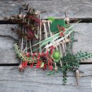 여름꽃농장 이미지